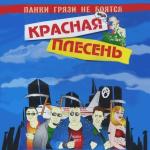poster Гимн панков Панки грязи не боятся