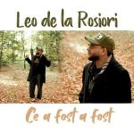 poster Ce a fost a fost Ce a fost a fost