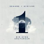 poster Bir Ayda Unutursun Bir Ayda Unutursun