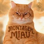 poster Montagem Miau Montagem Miau