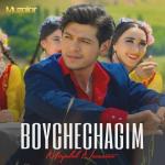 poster Boychechagim Boychechagim