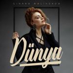 poster Dünya Dünya