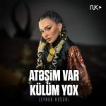 poster Atəşim Var Külüm Yox Atəşim Var Külüm Yox