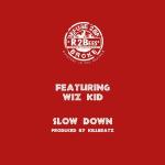 poster Slow Down | Naijaloaded.com Slow Down (feat. Wiz Kid)