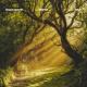 Volen Sentir, Marsh, Xira - Different