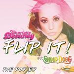 poster Flip It (Wideboys Radio Remix) Flip It