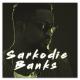 Sarkodie Ft. Banky W - Pon Di Ting ( Nigeria and Ghana Music )