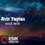 poster Gul Gul Dilê min