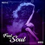 poster Put The Work In (Classic Dub Mix) Feel The Soul 012