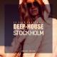 Steen Thottrup feat. Denver Knoesen - Another Day (S.T & A.P's Feet in The Sand Remix)