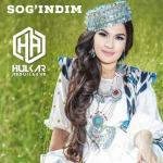poster Qoqir-Qo Sog'indim