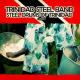 Jamaican Steel Band - Ben Wood Dick